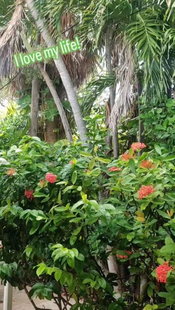 #FOTD Wonder...
Music by Wonderlust Beats
#spiritualfrequencyhopping
#imanisankofa
#childlikewonder